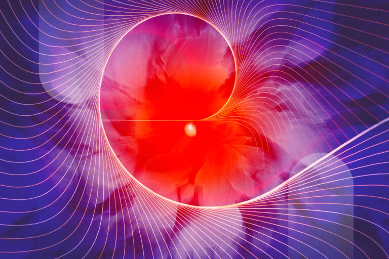 Heartful Leader Programme