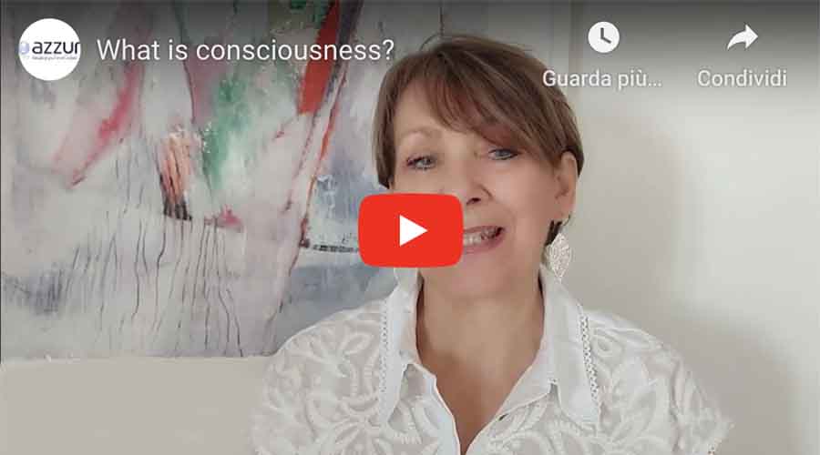 Video - what is consciousness?