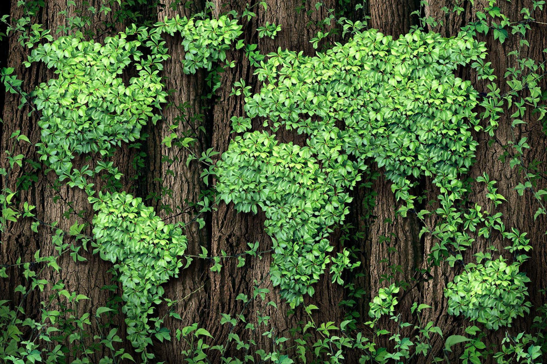 Choosing to live in our altered world