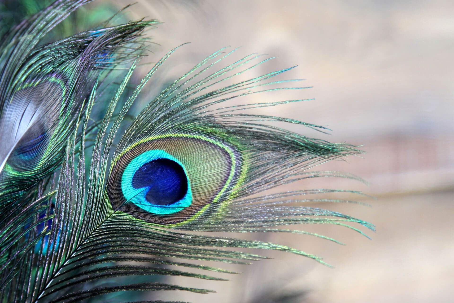 The power of inner trust