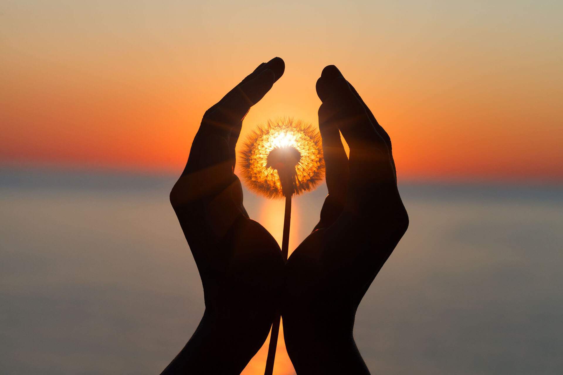 The power of ‘being with’