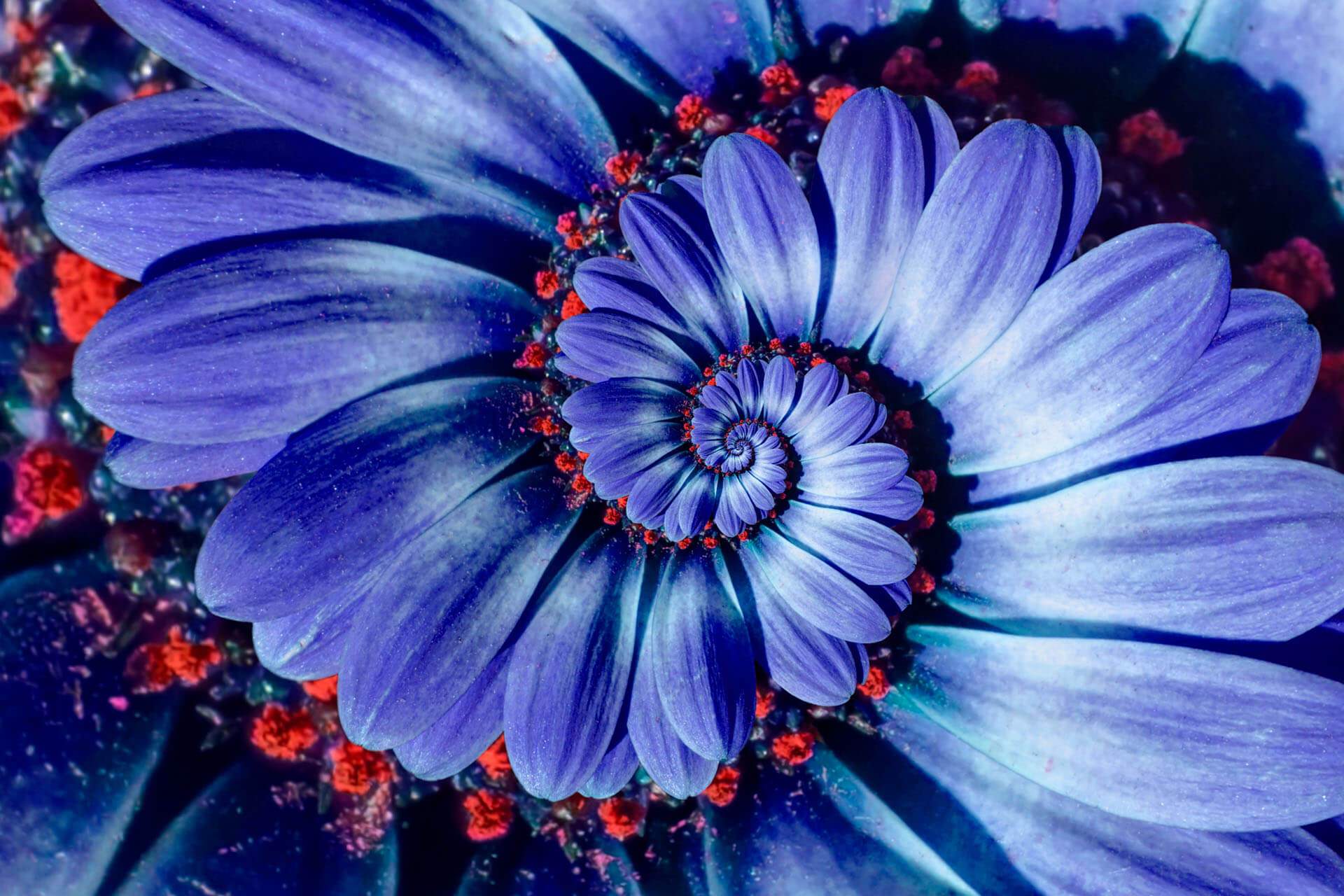 Letting life and love lead us to Purpose