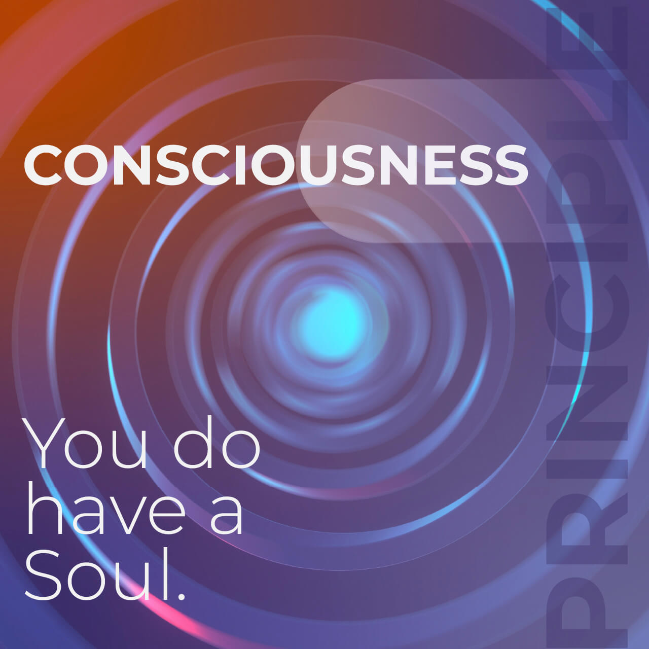 Consciousness - you do have a soul